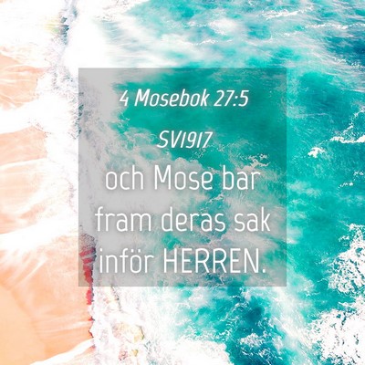 Picture 04 - 4 Mosebok 27:5 SV1917 - och Mose bar fram deras sak inför - Bible Verse Picture