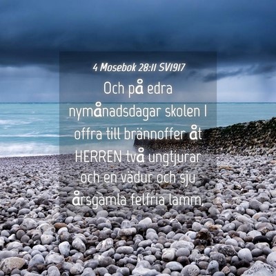 Picture 04 - 4 Mosebok 28:11 SV1917 - Och på edra nymånadsdagar skolen I offra till - Bible Verse Picture