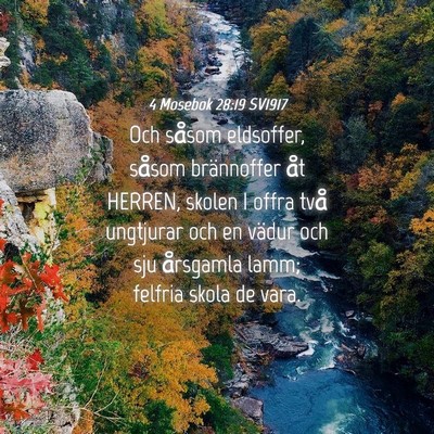 Picture 04 - 4 Mosebok 28:19 SV1917 - Och såsom eldsoffer, såsom brännoffer åt - Bible Verse Picture
