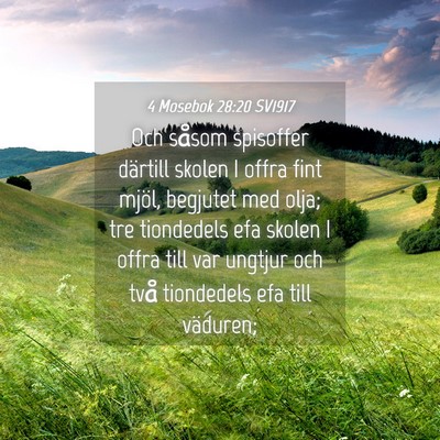 Picture 04 - 4 Mosebok 28:20 SV1917 - Och såsom spisoffer därtill skolen I offra fint - Bible Verse Picture
