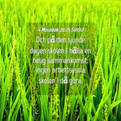 Picture 04 - 4 Mosebok 28:25 SV1917 - Och på den sjunde dagen skolen I hålla en helig - Bible Verse Picture