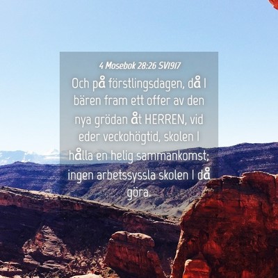 Picture 04 - 4 Mosebok 28:26 SV1917 - Och på förstlingsdagen, då I bären fram ett - Bible Verse Picture