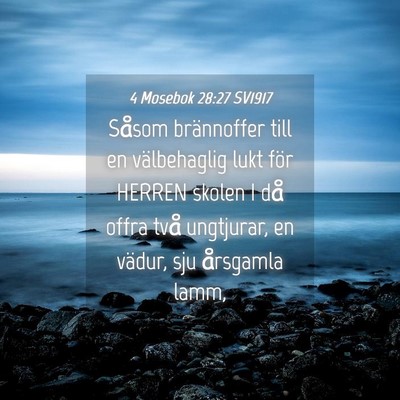 Picture 04 - 4 Mosebok 28:27 SV1917 - Såsom brännoffer till en välbehaglig lukt för - Bible Verse Picture