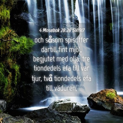 Picture 04 - 4 Mosebok 28:28 SV1917 - och såsom spisoffer därtill fint mjöl, - Bible Verse Picture
