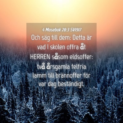 Picture 04 - 4 Mosebok 28:3 SV1917 - Och säg till dem: Detta är vad I skolen offra - Bible Verse Picture