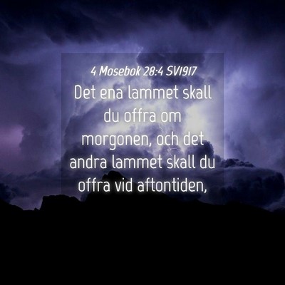 Picture 04 - 4 Mosebok 28:4 SV1917 - Det ena lammet skall du offra om morgonen, och - Bible Verse Picture