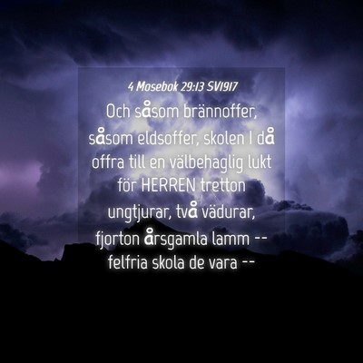 Picture 04 - 4 Mosebok 29:13 SV1917 - Och såsom brännoffer, såsom eldsoffer, skolen - Bible Verse Picture