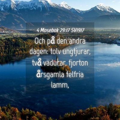 Picture 04 - 4 Mosebok 29:17 SV1917 - Och på den andra dagen: tolv ungtjurar, två - Bible Verse Picture