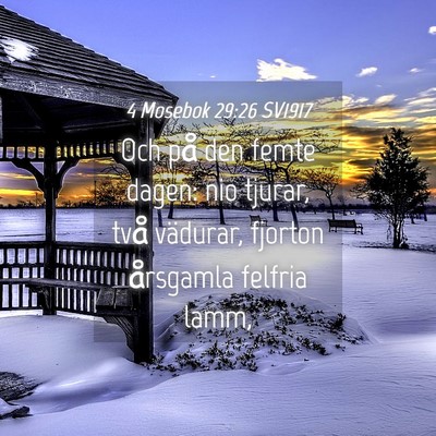 Picture 04 - 4 Mosebok 29:26 SV1917 - Och på den femte dagen: nio tjurar, två - Bible Verse Picture