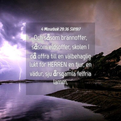 Picture 04 - 4 Mosebok 29:36 SV1917 - Och såsom brännoffer, såsom eldsoffer, skolen - Bible Verse Picture