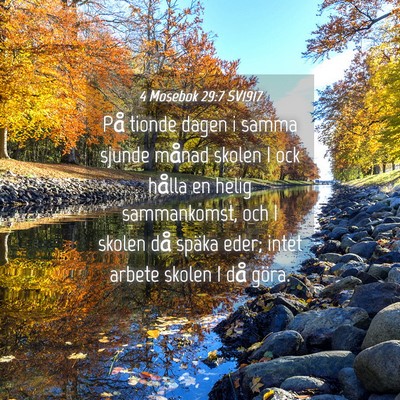 Picture 04 - 4 Mosebok 29:7 SV1917 - På tionde dagen i samma sjunde månad skolen I - Bible Verse Picture