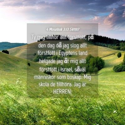 Picture 04 - 4 Mosebok 3:13 SV1917 - Ty mig tillhör allt förstfött; på den dag då - Bible Verse Picture