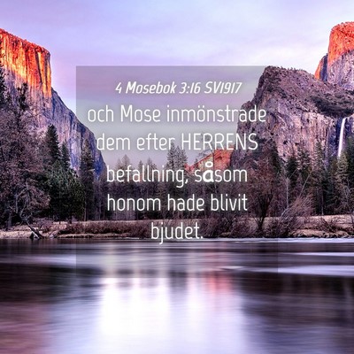 Picture 04 - 4 Mosebok 3:16 SV1917 - och Mose inmönstrade dem efter HERRENS - Bible Verse Picture
