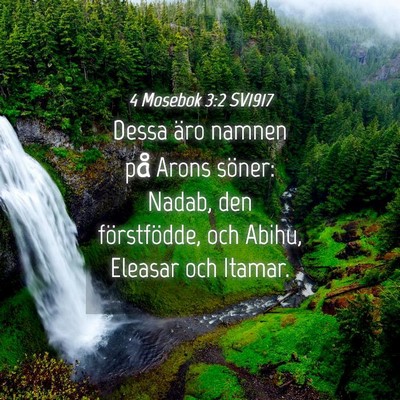 Picture 04 - 4 Mosebok 3:2 SV1917 - Dessa äro namnen på Arons söner: Nadab, den - Bible Verse Picture