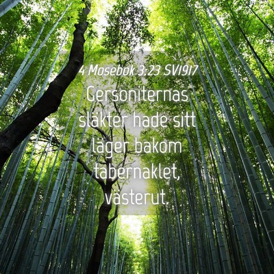 Picture 04 - 4 Mosebok 3:23 SV1917 - Gersoniternas släkter hade sitt läger bakom - Bible Verse Picture