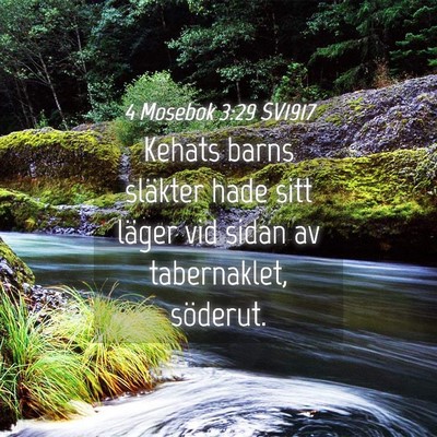 Picture 04 - 4 Mosebok 3:29 SV1917 - Kehats barns släkter hade sitt läger vid sidan - Bible Verse Picture