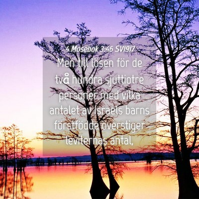 Picture 04 - 4 Mosebok 3:46 SV1917 - Men till lösen för de två hundra sjuttiotre - Bible Verse Picture