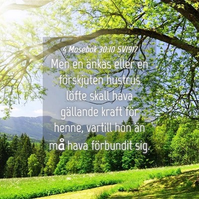 Picture 04 - 4 Mosebok 30:10 SV1917 - Men en änkas eller en förskjuten hustrus löfte - Bible Verse Picture