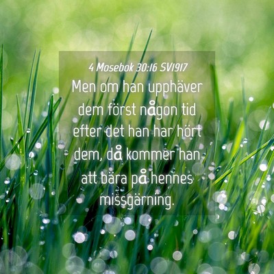 Picture 04 - 4 Mosebok 30:16 SV1917 - Men om han upphäver dem först någon tid efter - Bible Verse Picture