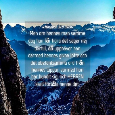 Picture 04 - 4 Mosebok 30:9 SV1917 - Men om hennes man samma dag han får höra det - Bible Verse Picture