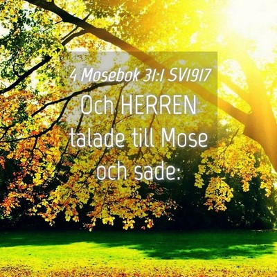 Picture 04 - 4 Mosebok 31:1 SV1917 - Och HERREN talade till Mose och - Bible Verse Picture