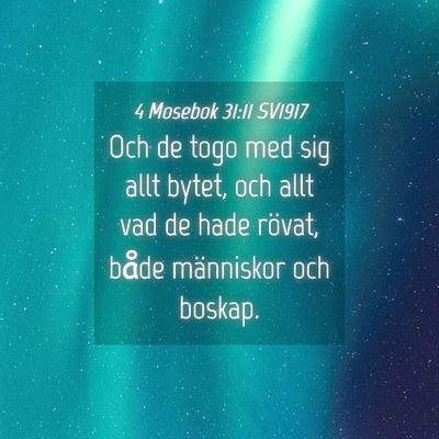 Picture 04 - 4 Mosebok 31:11 SV1917 - Och de togo med sig allt bytet, och allt vad de - Bible Verse Picture