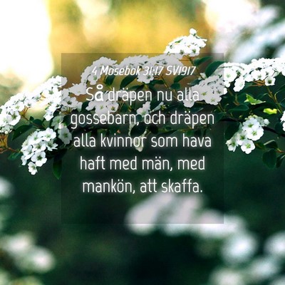 Picture 04 - 4 Mosebok 31:17 SV1917 - Så dräpen nu alla gossebarn, och dräpen alla - Bible Verse Picture