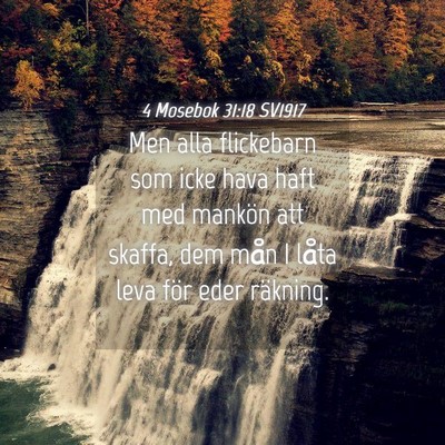Picture 04 - 4 Mosebok 31:18 SV1917 - Men alla flickebarn som icke hava haft med - Bible Verse Picture