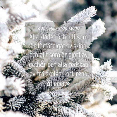 Picture 04 - 4 Mosebok 31:20 SV1917 - Alla kläder och allt som är förfärdigat av - Bible Verse Picture