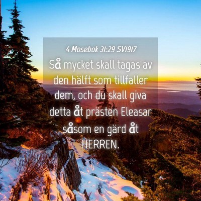 Picture 04 - 4 Mosebok 31:29 SV1917 - Så mycket skall tagas av den hälft som - Bible Verse Picture