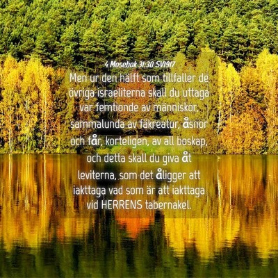 Picture 04 - 4 Mosebok 31:30 SV1917 - Men ur den hälft som tillfaller de övriga - Bible Verse Picture