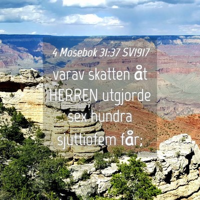 Picture 04 - 4 Mosebok 31:37 SV1917 - varav skatten åt HERREN utgjorde sex hundra - Bible Verse Picture