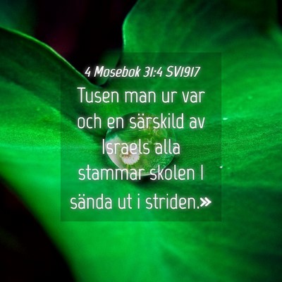 Picture 04 - 4 Mosebok 31:4 SV1917 - Tusen man ur var och en särskild av Israels alla - Bible Verse Picture