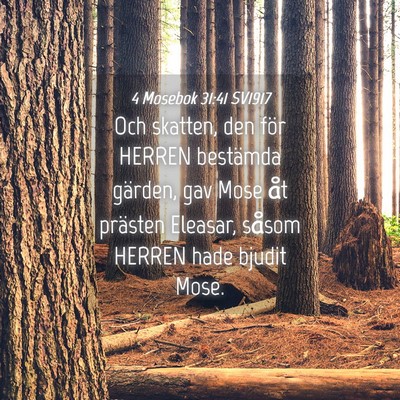 Picture 04 - 4 Mosebok 31:41 SV1917 - Och skatten, den för HERREN bestämda gärden, - Bible Verse Picture