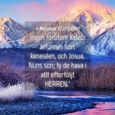 Picture 04 - 4 Mosebok 32:12 SV1917 - ingen förutom Kaleb, Jefunnes son, kenaséen, - Bible Verse Picture