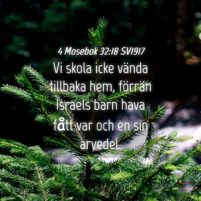 Picture 04 - 4 Mosebok 32:18 SV1917 - Vi skola icke vända tillbaka hem, förrän - Bible Verse Picture