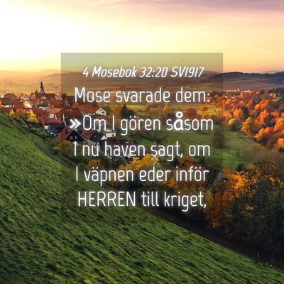 Picture 04 - 4 Mosebok 32:20 SV1917 - Mose svarade dem: »Om I gören såsom I nu haven - Bible Verse Picture