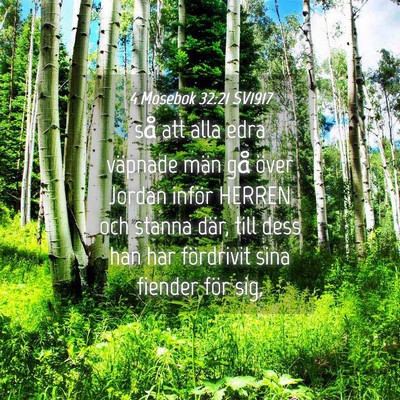 Picture 04 - 4 Mosebok 32:21 SV1917 - så att alla edra väpnade män gå över Jordan - Bible Verse Picture