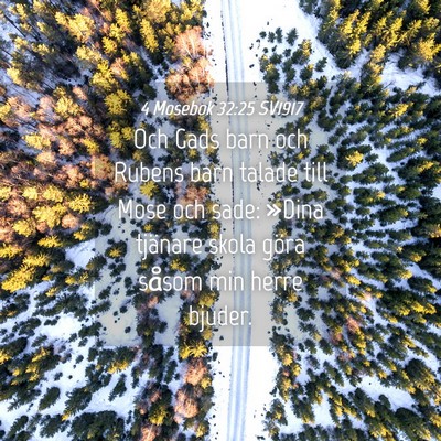 Picture 04 - 4 Mosebok 32:25 SV1917 - Och Gads barn och Rubens barn talade till Mose - Bible Verse Picture