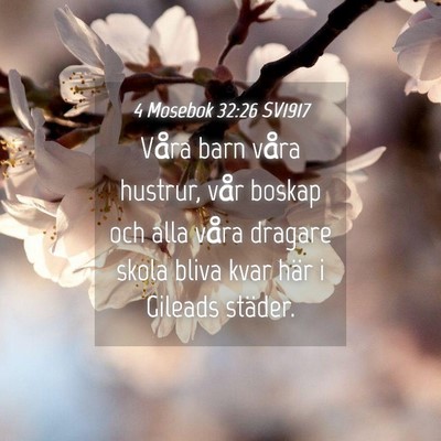 Picture 04 - 4 Mosebok 32:26 SV1917 - Våra barn våra hustrur, vår boskap och alla - Bible Verse Picture