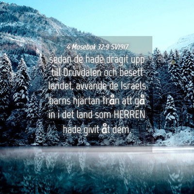 Picture 04 - 4 Mosebok 32:9 SV1917 - sedan de hade dragit upp till Druvdalen och - Bible Verse Picture