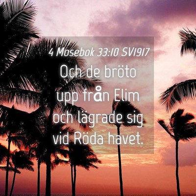 Picture 04 - 4 Mosebok 33:10 SV1917 - Och de bröto upp från Elim och lägrade sig vid - Bible Verse Picture