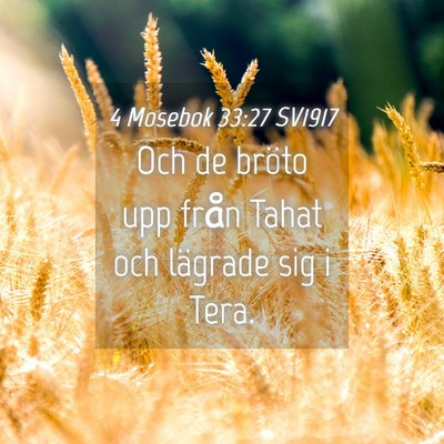 Picture 04 - 4 Mosebok 33:27 SV1917 - Och de bröto upp från Tahat och lägrade sig i - Bible Verse Picture