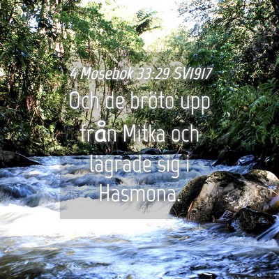 Picture 04 - 4 Mosebok 33:29 SV1917 - Och de bröto upp från Mitka och lägrade sig i - Bible Verse Picture