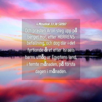 Picture 04 - 4 Mosebok 33:38 SV1917 - Och prästen Aron steg upp på berget Hor, efter - Bible Verse Picture