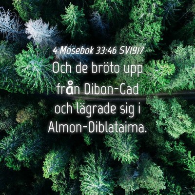 Picture 04 - 4 Mosebok 33:46 SV1917 - Och de bröto upp från Dibon-Gad och lägrade - Bible Verse Picture