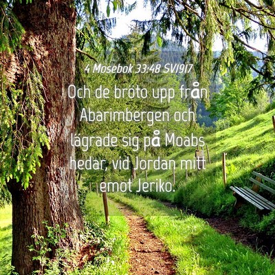 Picture 04 - 4 Mosebok 33:48 SV1917 - Och de bröto upp från Abarimbergen och lägrade - Bible Verse Picture