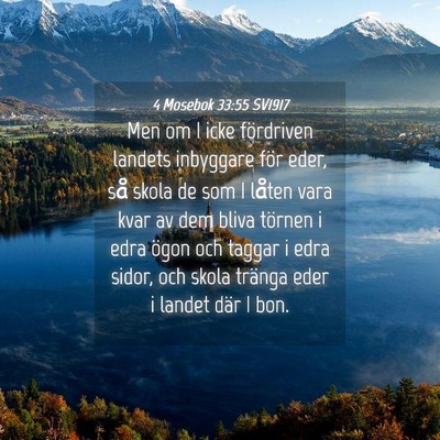 Picture 04 - 4 Mosebok 33:55 SV1917 - Men om I icke fördriven landets inbyggare för - Bible Verse Picture