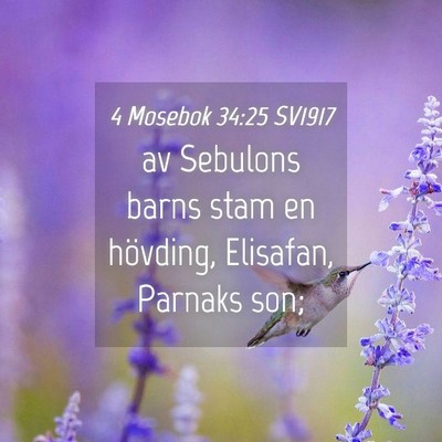 Picture 04 - 4 Mosebok 34:25 SV1917 - av Sebulons barns stam en hövding, Elisafan, - Bible Verse Picture