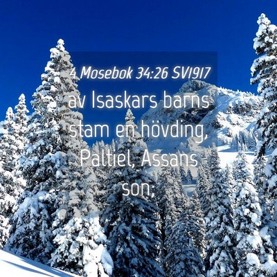 Picture 04 - 4 Mosebok 34:26 SV1917 - av Isaskars barns stam en hövding, Paltiel, - Bible Verse Picture